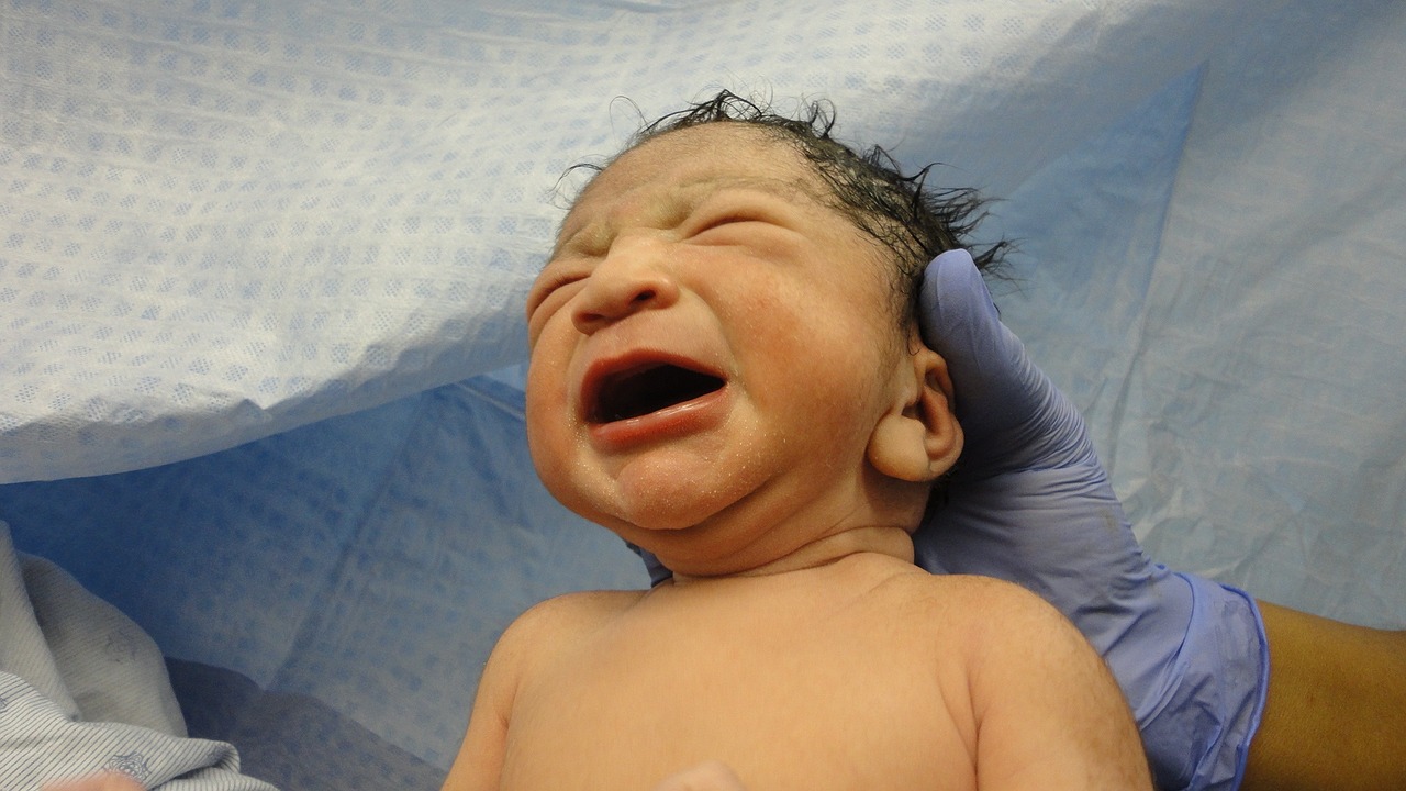La vie après la naissance :